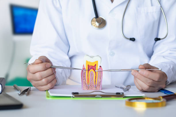 Best Emergency Dental Care for Broken or Chipped Teeth in Belville, NC
